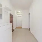 Drago דירה ביוגראד נה מורו